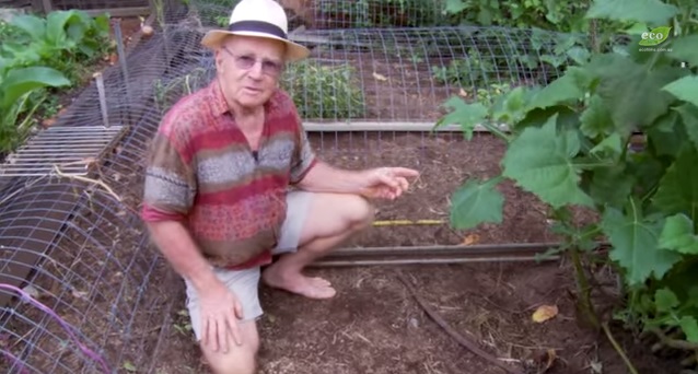 You Can Make Your Chickens Do The Gardening? Awesome!