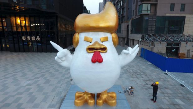 The giant rooster sculpture resembling US President-elect Donald Trump to celebrate the upcoming Chinese Year of the ...