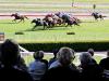 Hawkesbury staking claim for more black type