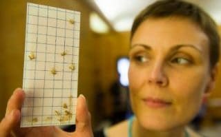 Woman holding moth trap