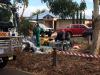 Family hospitalised after cleaning their fish tank