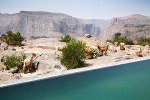 The infinity pool sits right on the lip of the gorge.