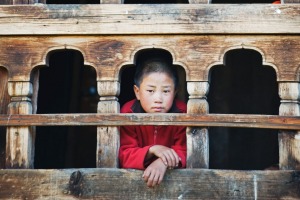 A monk at the window of the Gangtey Gompa Monastery.