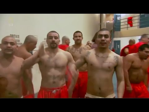 California Prison Gangs