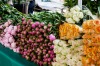 Paris is full of gorgeous flower shops.