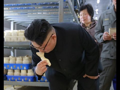 Kim Jong Un Visits Pyongyang Mushroom Farm [CC]