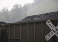 Trump has it Backward:  It is Dirty Coal that’s Killing Green Jobs