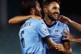 Revelation: Milos Ninkovic has been sensational for the Sky Blues.