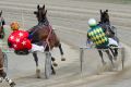 Grant James Gavin was found guilty of assaulting three trots drivers last year.