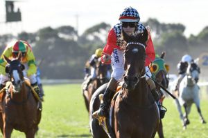 Damian Lane celebrates aboard High Church after winning the Warrnambool Cup