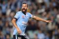 Strong bond: Alex Brosque says he has never played in a team as unified this Sydney squad.