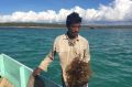 Rote Island seaweed farmer Nikodemus Manefa with his crop. Seaweed farmers say the Montara spill devastated their ...