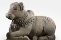 The sacred bull Nandi, vehicle of Shiva 11-12th century, is one of the four pieces reported as stolen, part of the ...