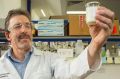 UHT milk could pave the way for new treatments for Alzheimer's, Parkinson's and type 2 diabetes. Professor John Carver ...