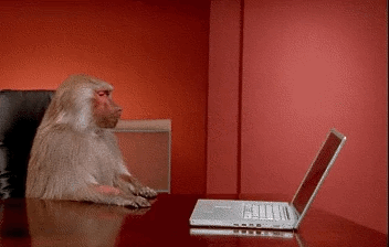 Computer Monkey Animated GIF