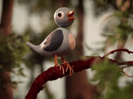 bird stop motion radiohead burn the witch