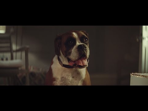 John Lewis Christmas Advert 2016 - #BusterTheBoxer