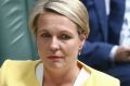 Acting Opposition Leader Tanya Plibersek and Prime Minister Malcolm Turnbull during Question Time at Parliament House in ...