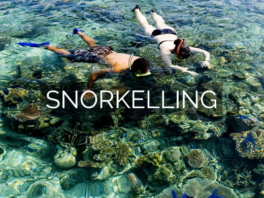 Nukubati Island Snorkelling