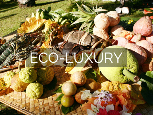 Nukubati Island Eco-Luxury