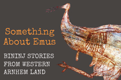 Something about emus cover