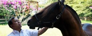 Prabowo Subianto feeding him horse