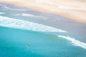 Whale Beach is a popular destination for prestige buyers. 