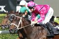 Tommy Berry rides Oklahoma Girl to victory at Randwick.