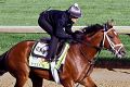 Exercise rider Isabelle Bourez guides Kentucky Derby hopeful Patch in a morning workout at Churchill Downs.