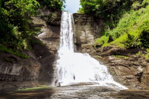 There are over 50 waterfalls in this section of the Navua River.