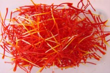 Saffron harvest and all it's complexities (ABC Radio Canberra)