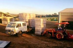 Unloading hemp (Supplied: Jemimah Read/Facebook)