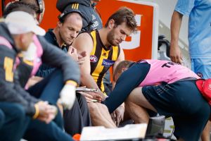 Back on the sidelines: Hawthorn's Grant Birchall was due to have scans on Monday after hurting his knee during the game ...