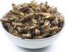 Why we should all be eating insects