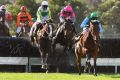 Steven Pateman riding Zed Em races away after jumping the last steeple  in the Brierly Steeplechase during the ...