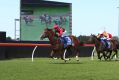 Passage of Time wins at Kembla Grange  under Jeff Penza.