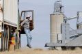 Grain surplus set to be prolong. Photo Paul Mathews