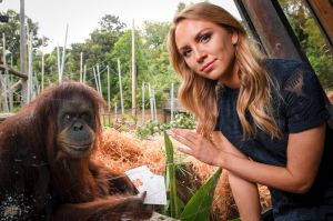 Lyndl Kean, Miss Earth Australia at the Melbourne Zoo Orangutan enclosure.