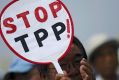 Despite its critics, the Trans-Pacific Partnership appears to be gaining a second life.