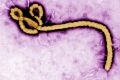 Health authorities in the Democratic Republic of Congo are working to contain a new Ebola outbreak.