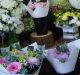 Charles Lukasik, owner of Floral Expressions says order gatherer florists are "devastating" for the industry.