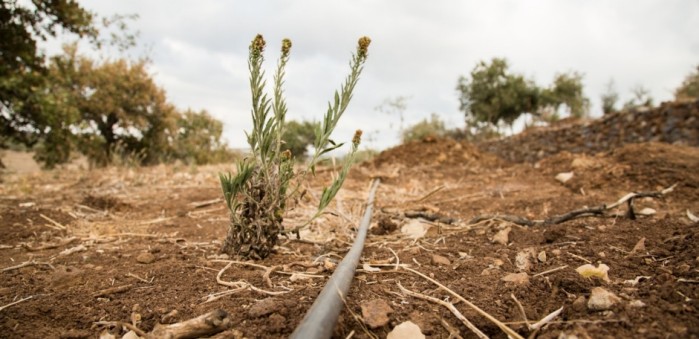 Water-Stressed Village in Lebanon Gets 'Water-Wise' 