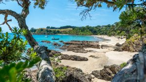 Waiheke Island, New Zealand.