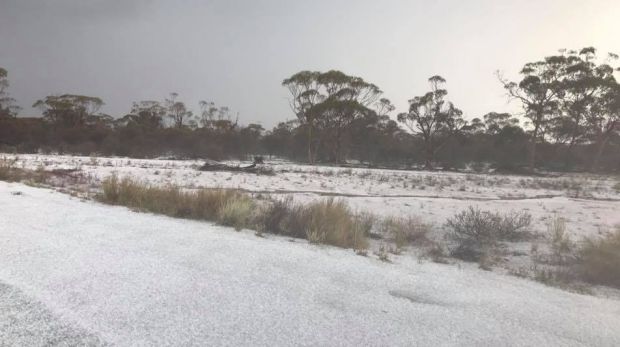 The area was covered in a thick layer of ice.