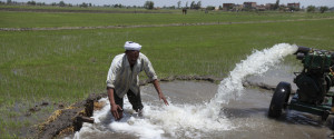 Well Water Egypt