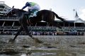 John Velazquez rides Always Dreaming to victory in the 143rd running of the Kentucky Derby.