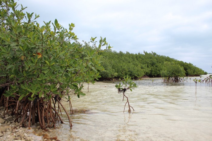 BIOFIN PNUD Cuba finanzas biodiversidad