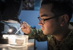 entomologist assigned to Naval Environmental Preventive Medicine Unit 2, experiments with a new tile-based insecticide against Zika virus at Operation Blessing’s headquarters in Honduras