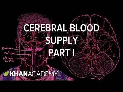 Cerebral blood supply: Part 1 | Circulatory System and Disease | NCLEX-RN | Khan Academy