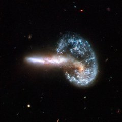 File - This interacting pair of galaxies is included in Arp's catalog of peculiar galaxies as number 148. Arp 148 is the staggering aftermath of an encounter between two galaxies, resulting in a ring-shaped galaxy and a long-tailed companion.